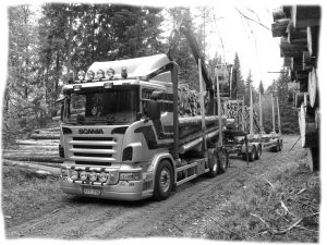 Rundvirke